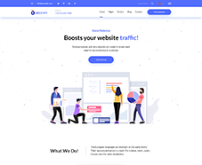 Hire affordable seo consultant