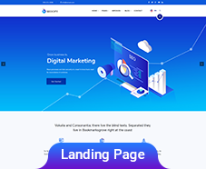 custom website designs India